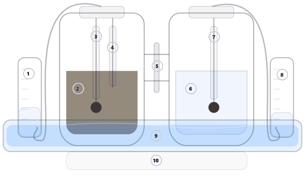 Processes MDPI tweet media