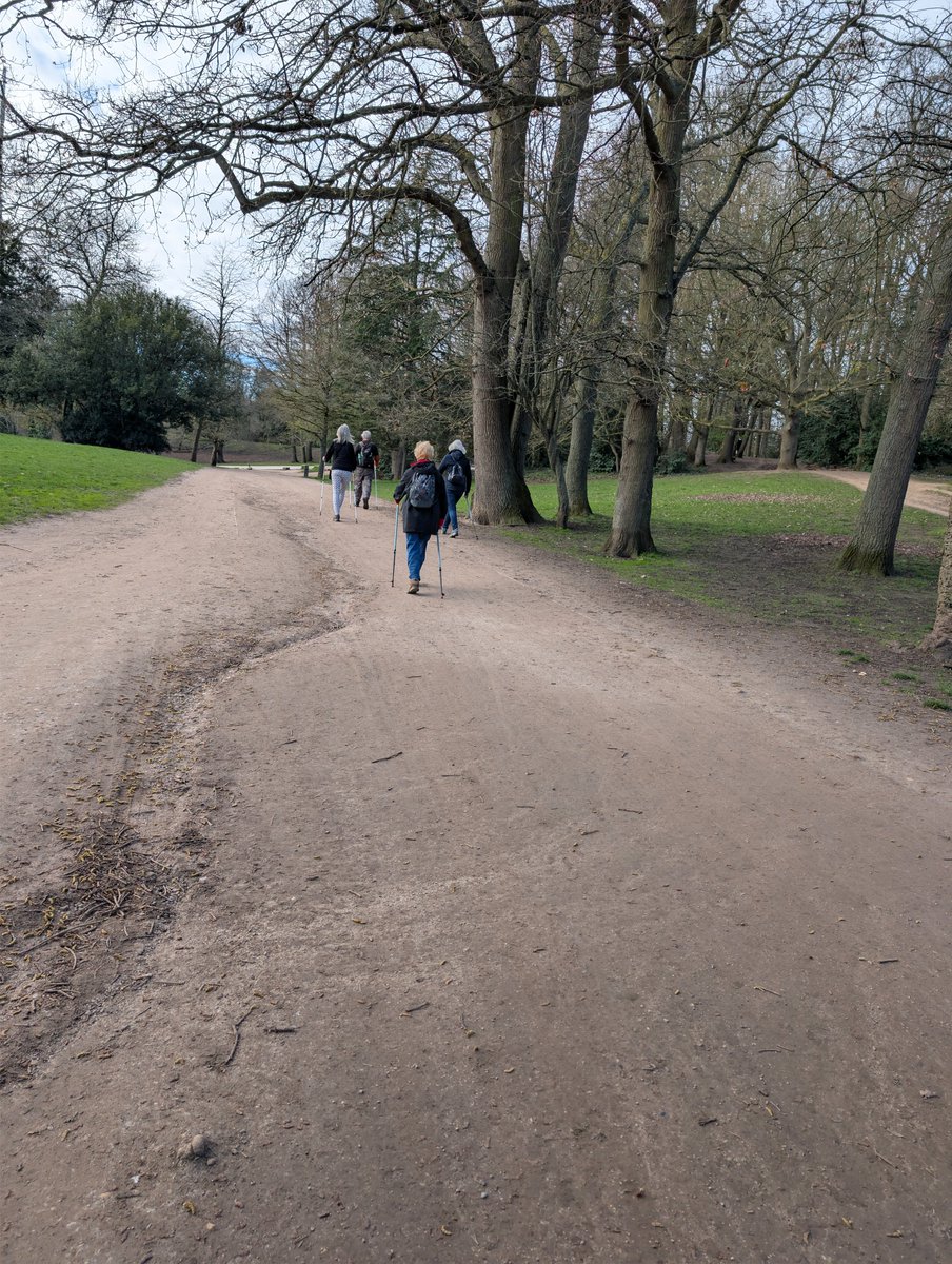 silverfitorg tweet media