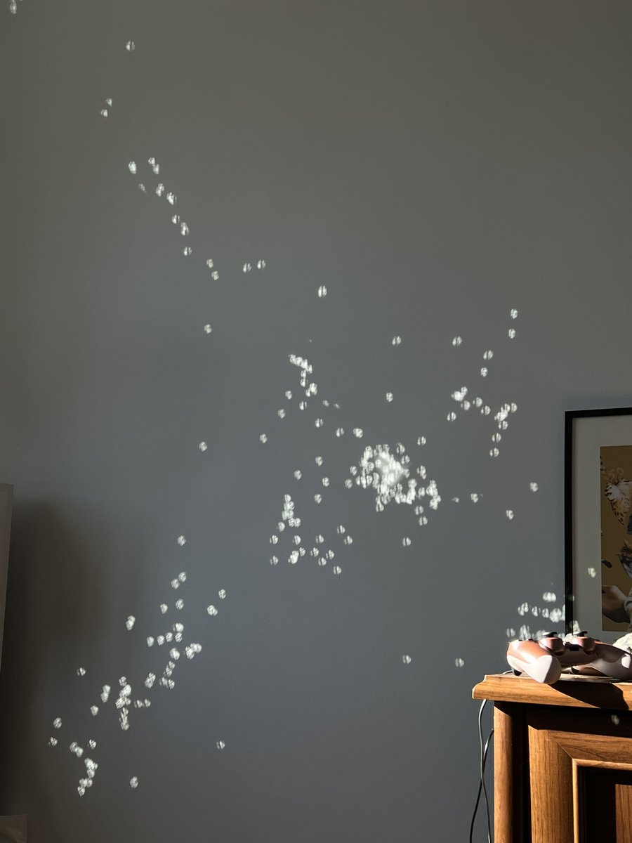 ad fontes | tweet media