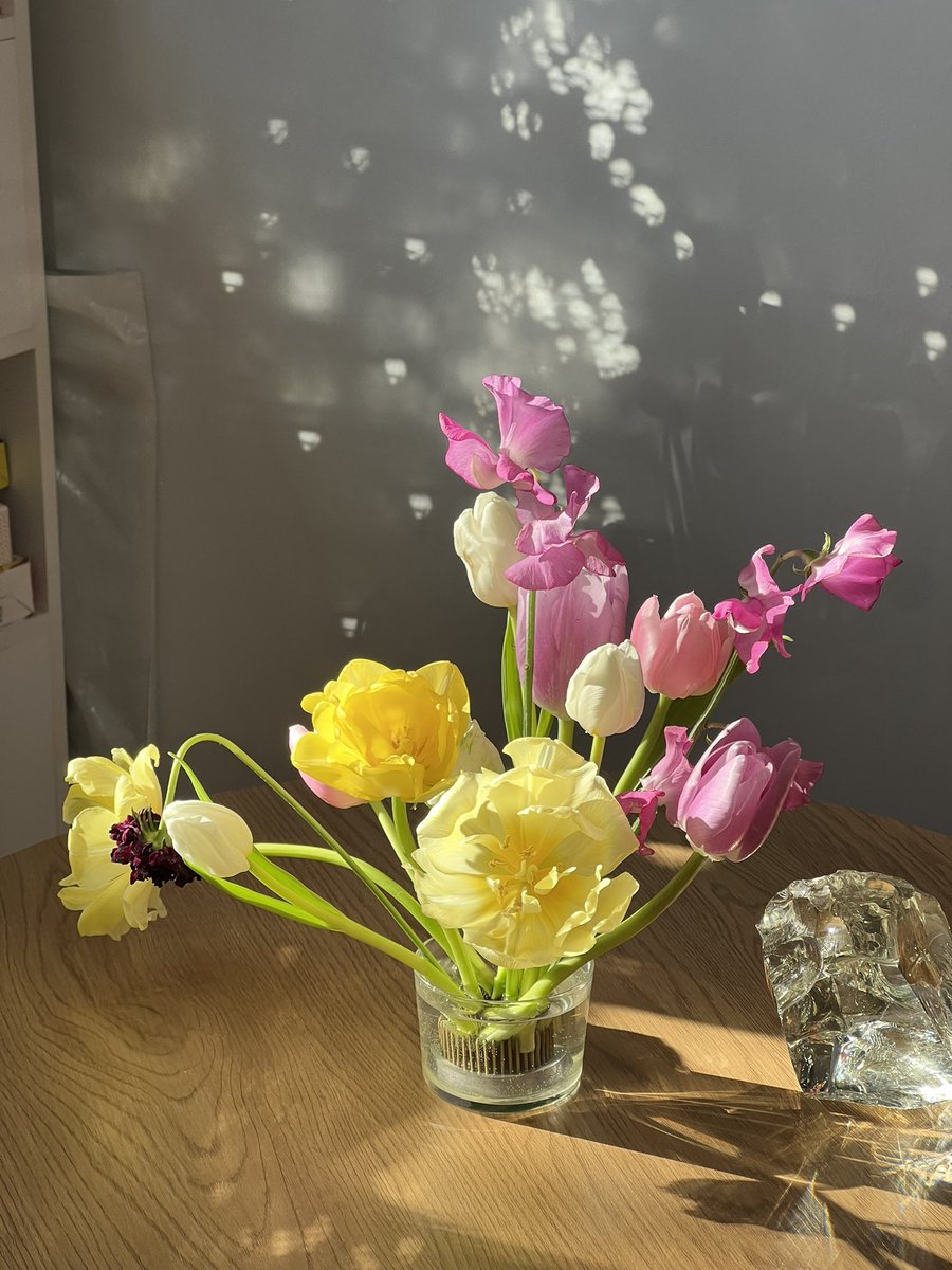 ad fontes | tweet media