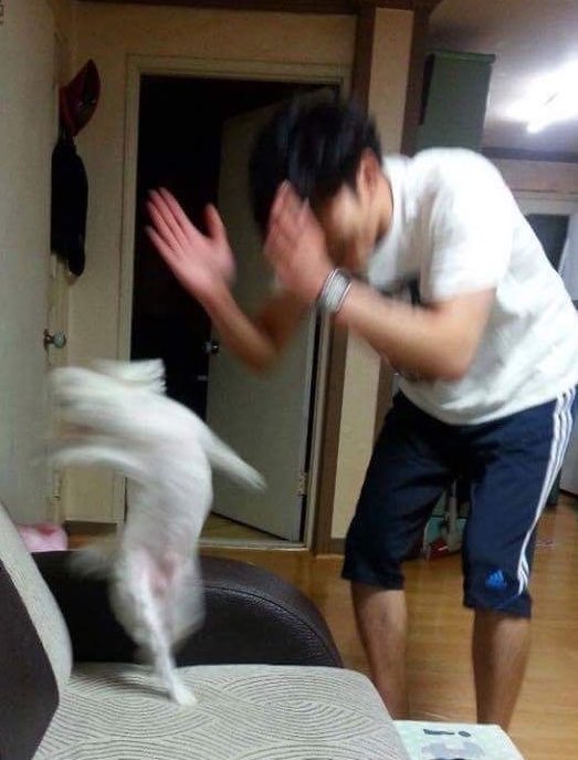 zumio00's tweet photo. https://t.co/l0A61yTrus