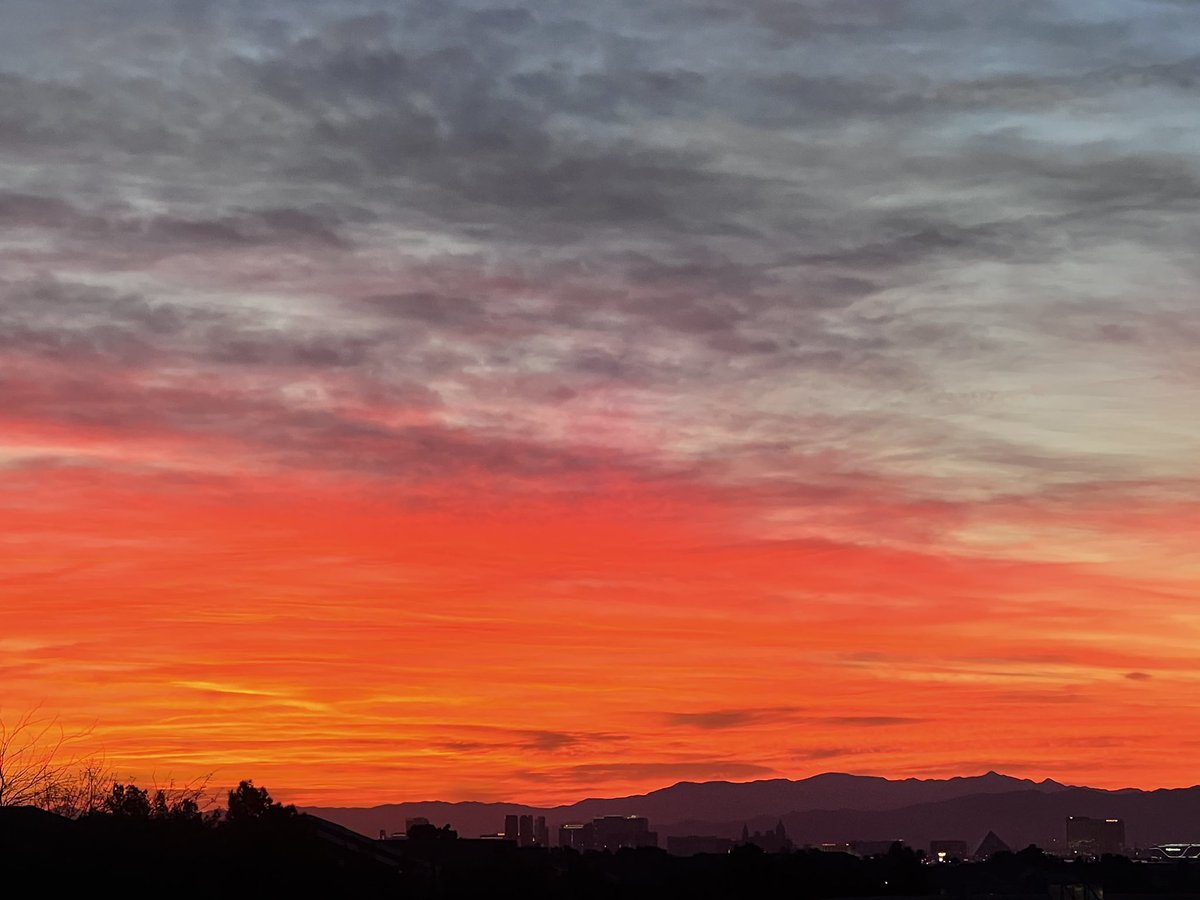 collectiveconsciousness tweet media