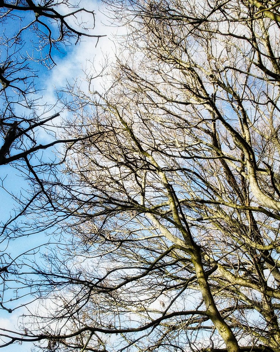 Terry Tyler tweet media