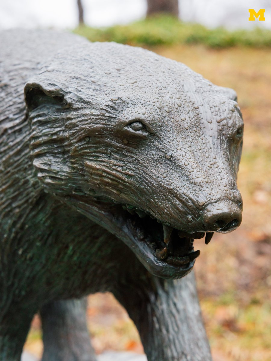 University of Michigan tweet media