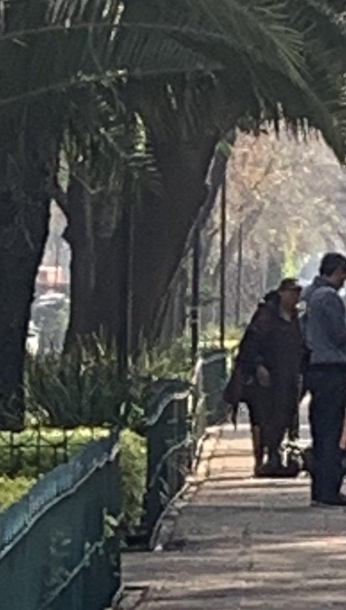 Vickkync's tweet photo. Pasan los meses, continúa señora en situación de calle en camellón de Durango #RomaNorte deterioro de salud física  y mental, las autoridades no hacen nada por mas que se les contacta, podrían ayudarla? @AlcCuauhtemocMx @SEBIEN_cdmx @SSalud_mx @UCS_GCDMX @LaRomaDF @VidaCondesa https://t.co/zmQPfNjHZe