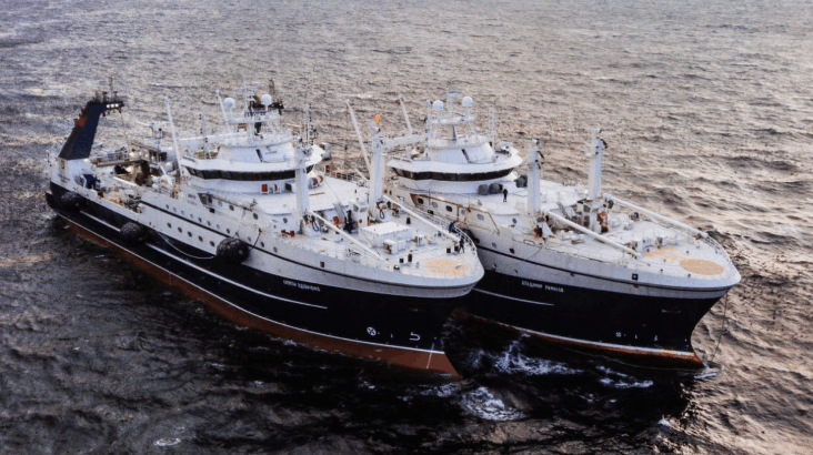 Undercurrent News tweet media