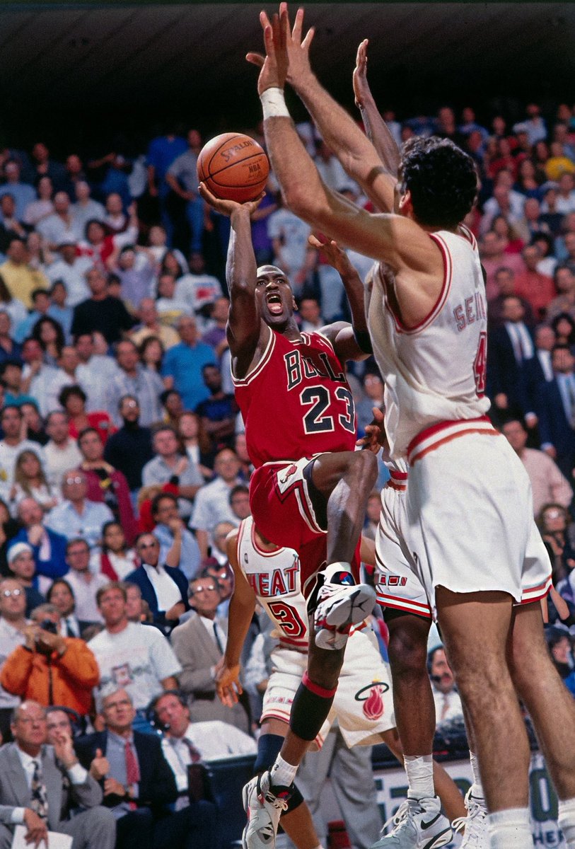 JordanMuse tweet media