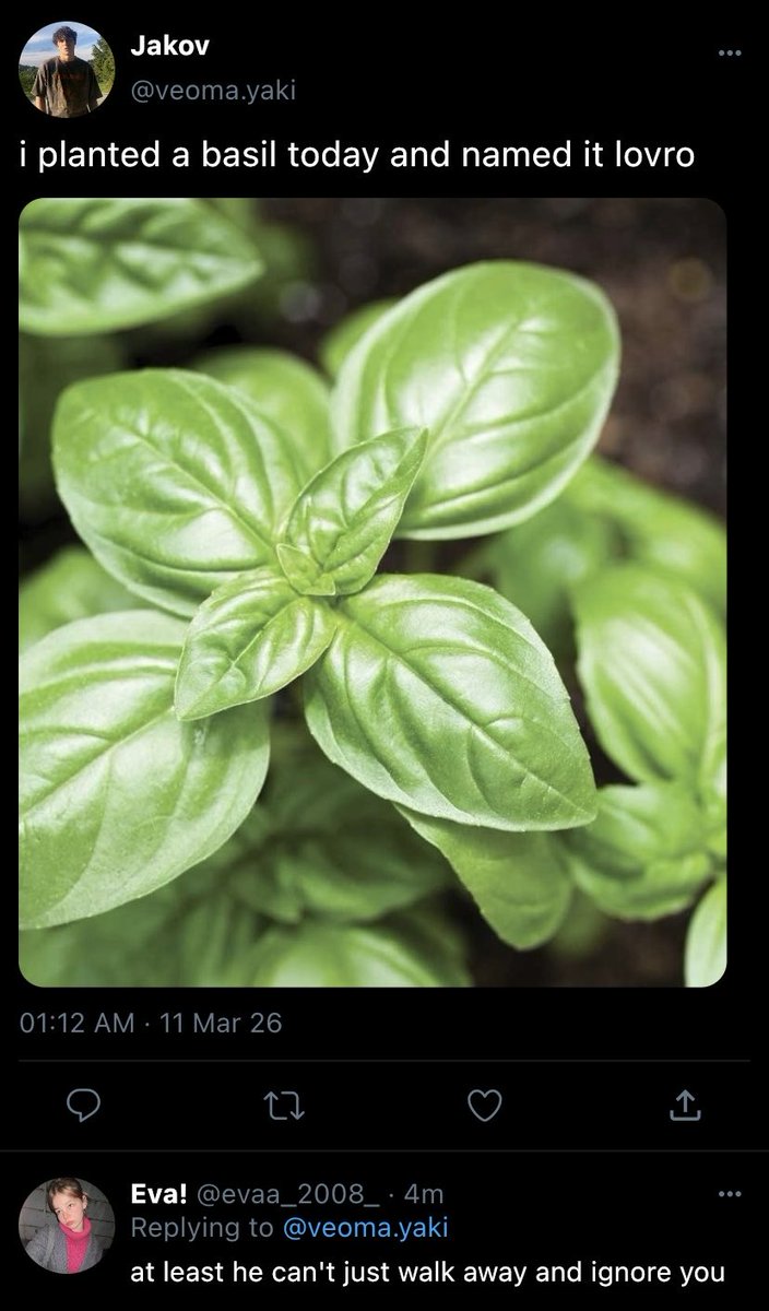Patty (Faith) tweet media