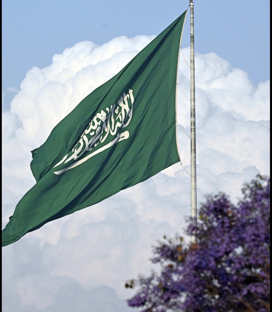 أمجاد السعيد tweet media