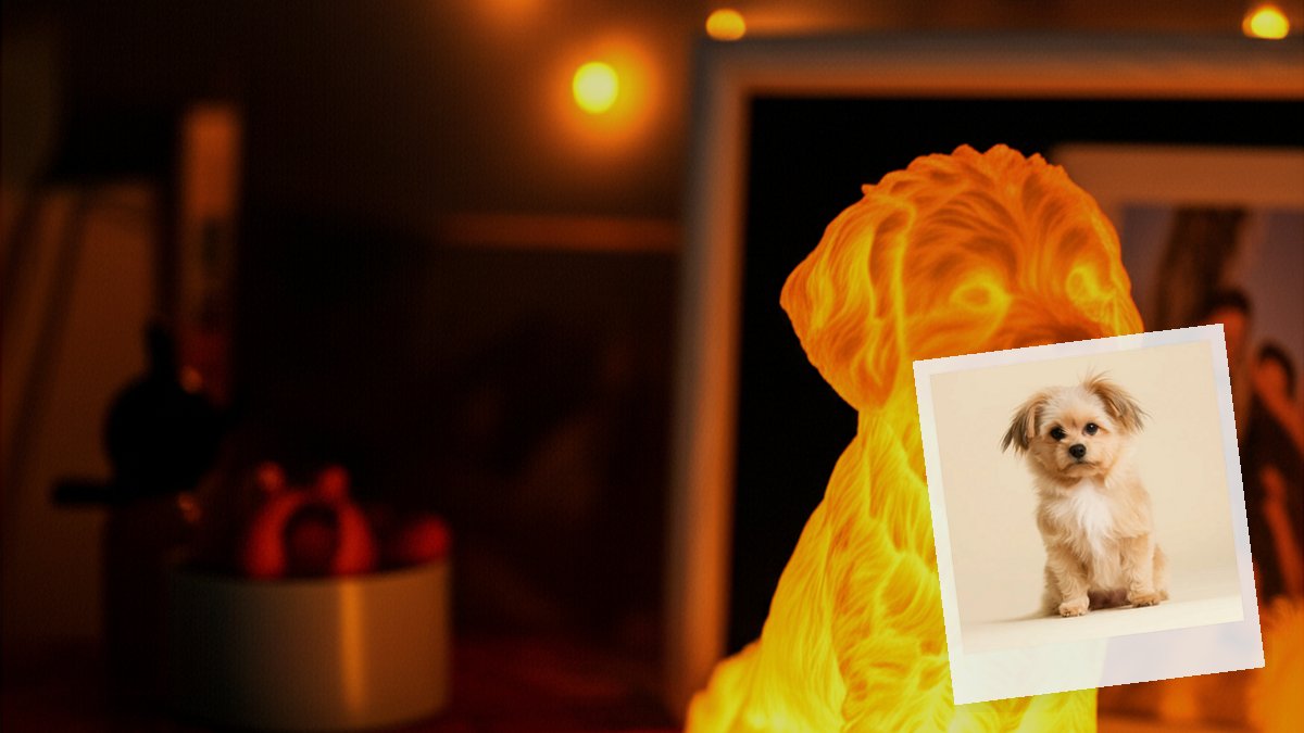 WenderStudios's tweet image. 🌑 Nobody tells you that a Pomapoo is basically a tiny, curly dictator with the confidence of a dog five times their size.

wenderpets.com/breeds/pomapoo…

#BloodMoon #Pomapoo #PetMemorial