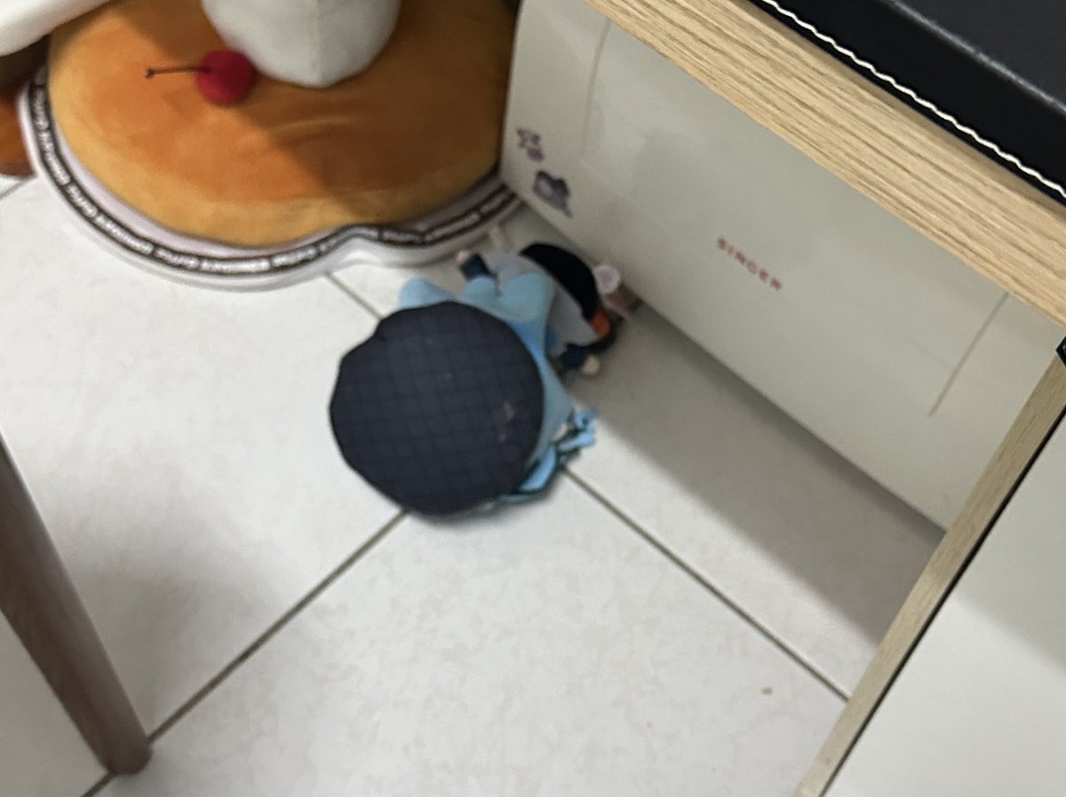 回家發現趴地的朋友星⋯
被小臭貓叼出來玩😫