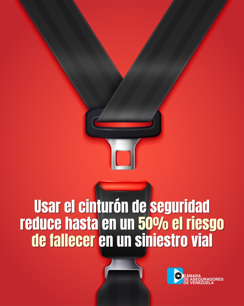 En su informe sobre el estado mundial de la seguridad vial, la OMS señala que el uso del cinturón de seguridad reduce hasta en un 50% el riesgo de fallecer en un siniestro vial.

Fuente: Organización Mundial de la Salud (OMS)