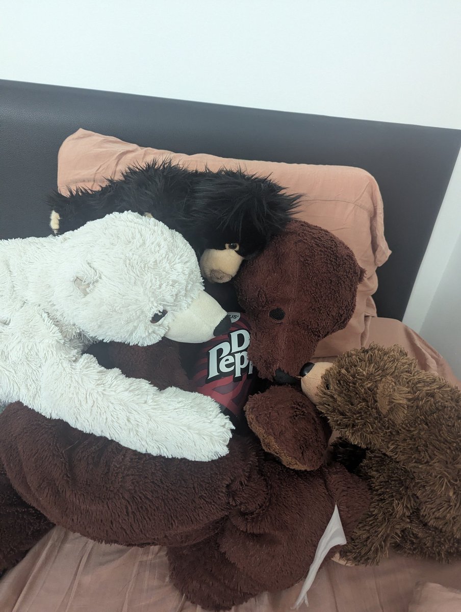 nuria ✨🐻 tweet media