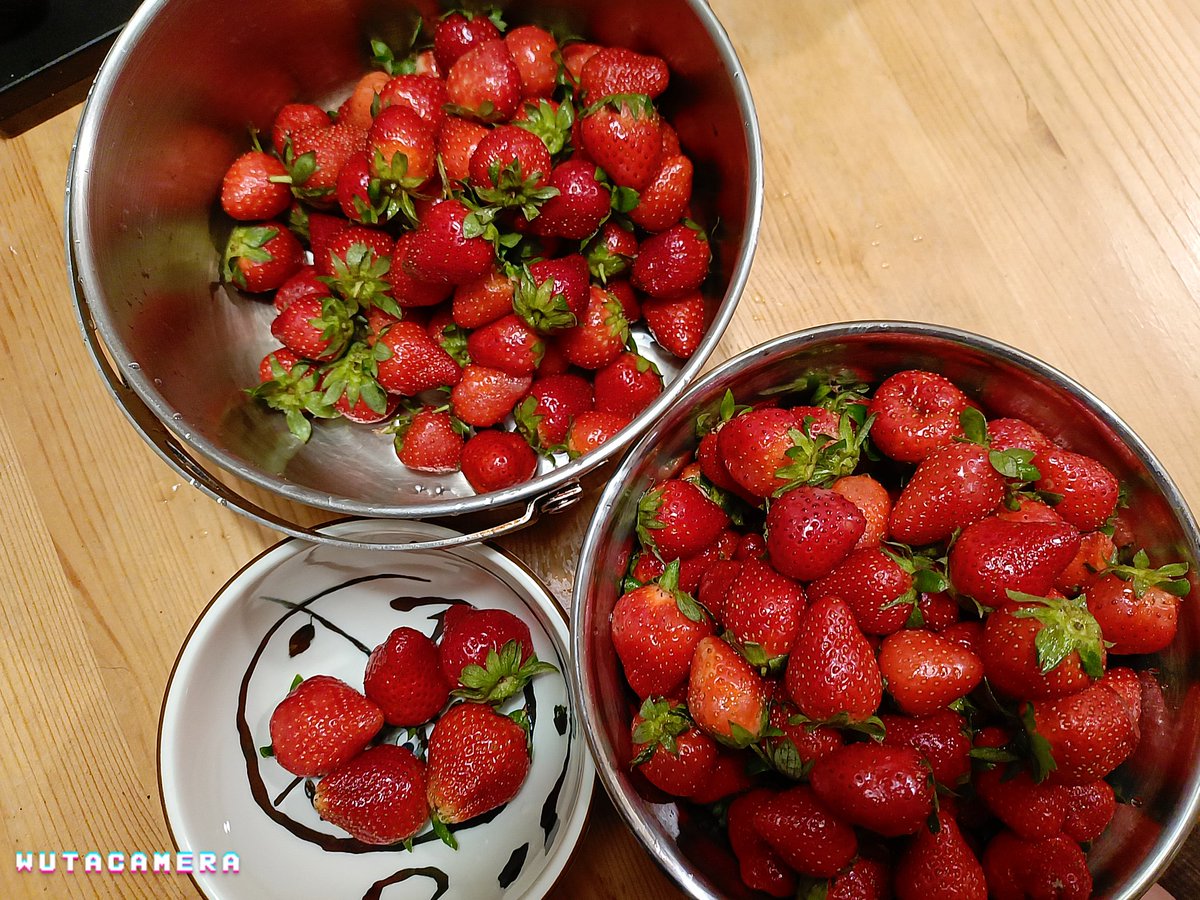 伊織院 さいか🏮-Twitch實況主 雪雪 tweet media