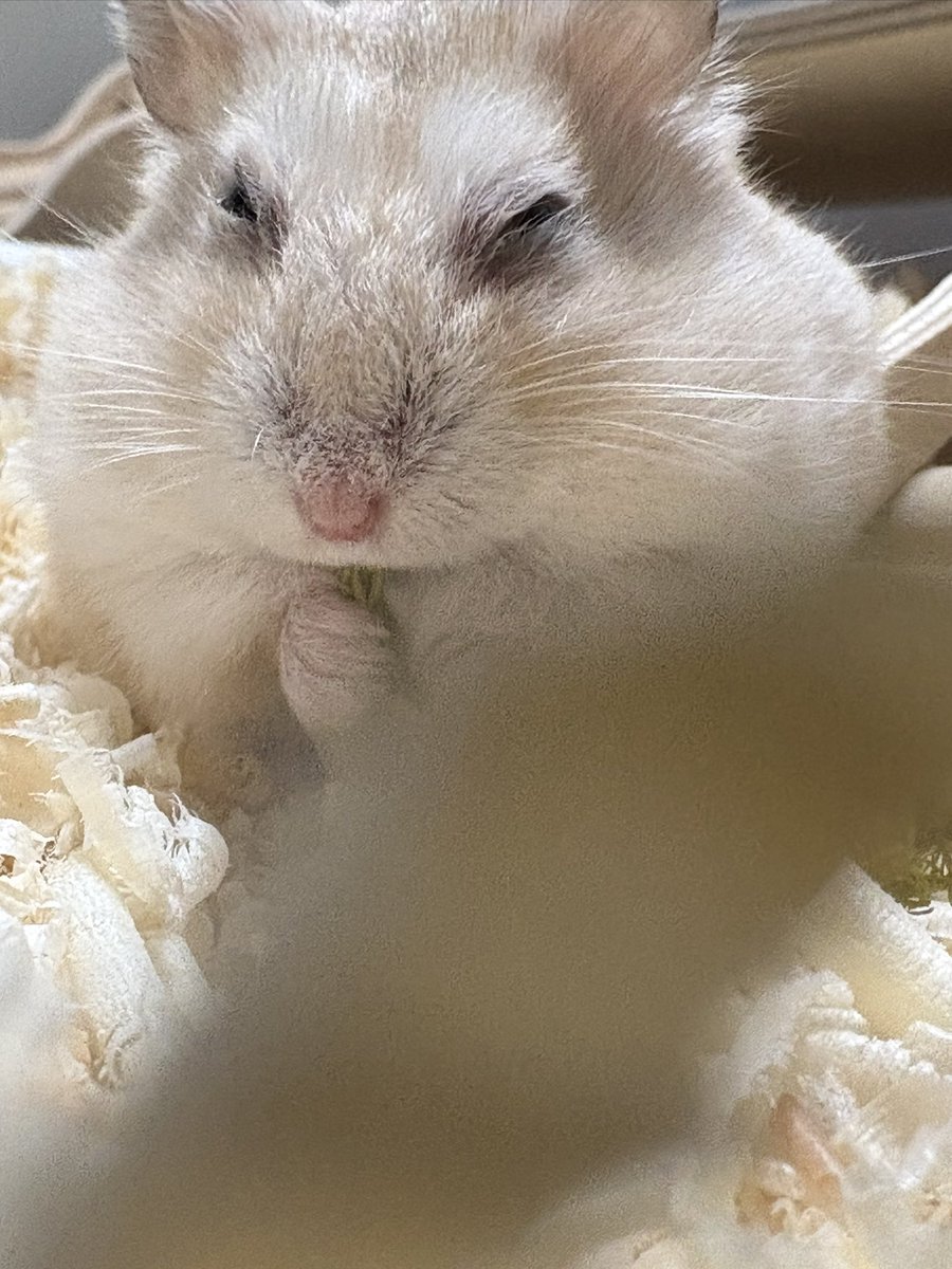 미선씨 tweet media