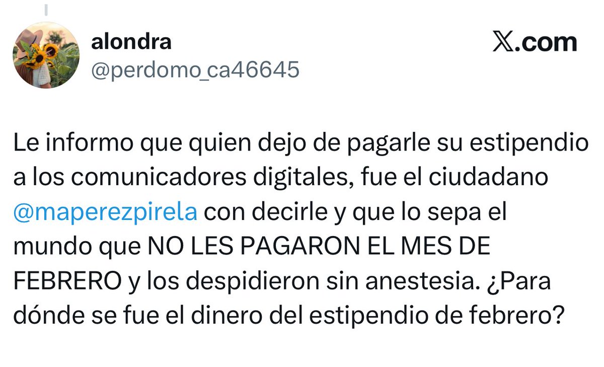 Luciana tweet media