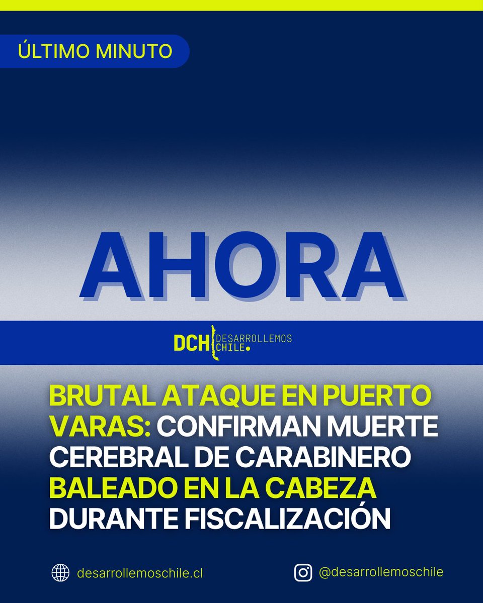 Desarrollemos Chile tweet media