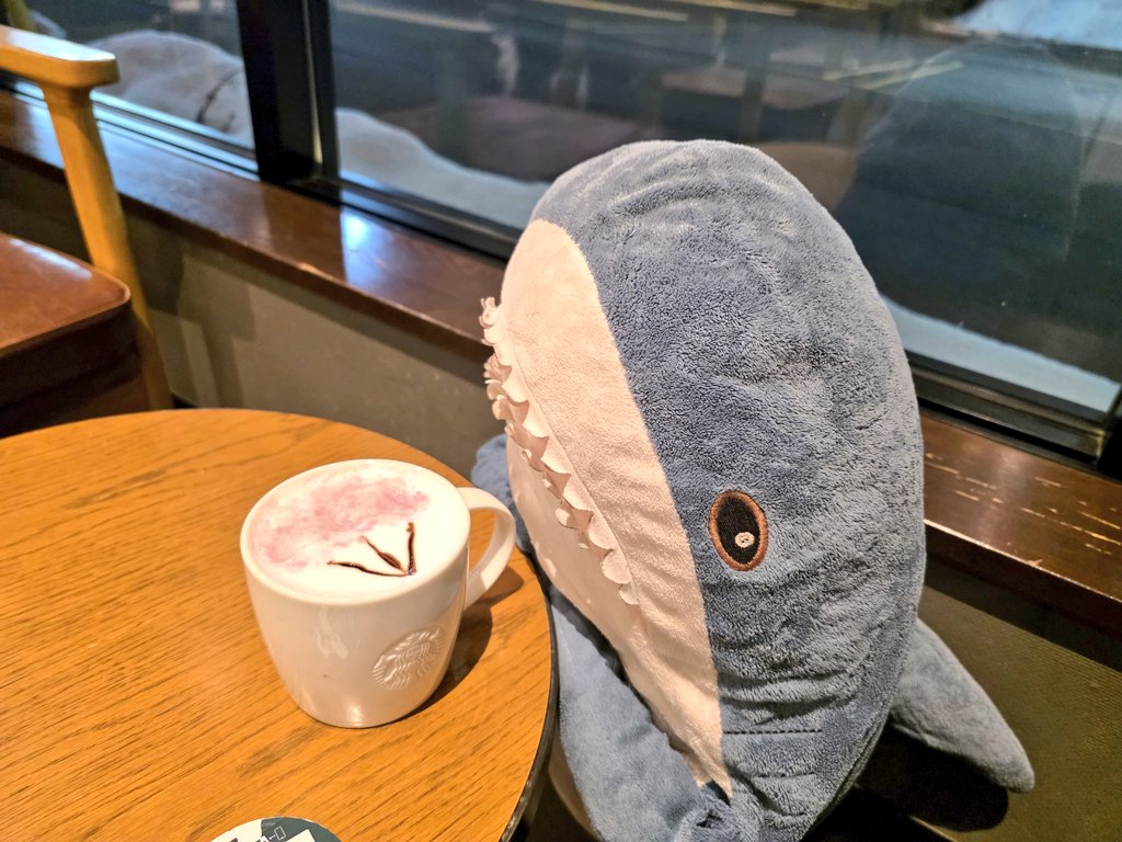 IKEAのサメ用アカ@ワタザメ tweet media