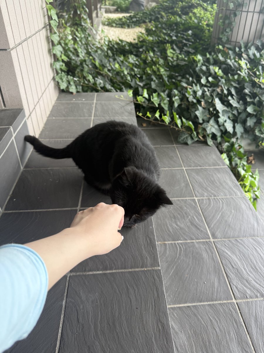 ⋆˚࿔ tweet media