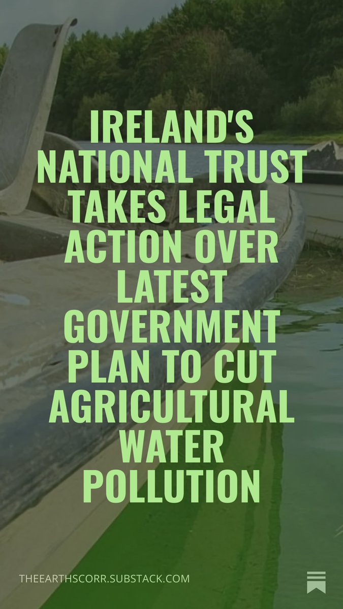 Shauna Corr 🌍 tweet media