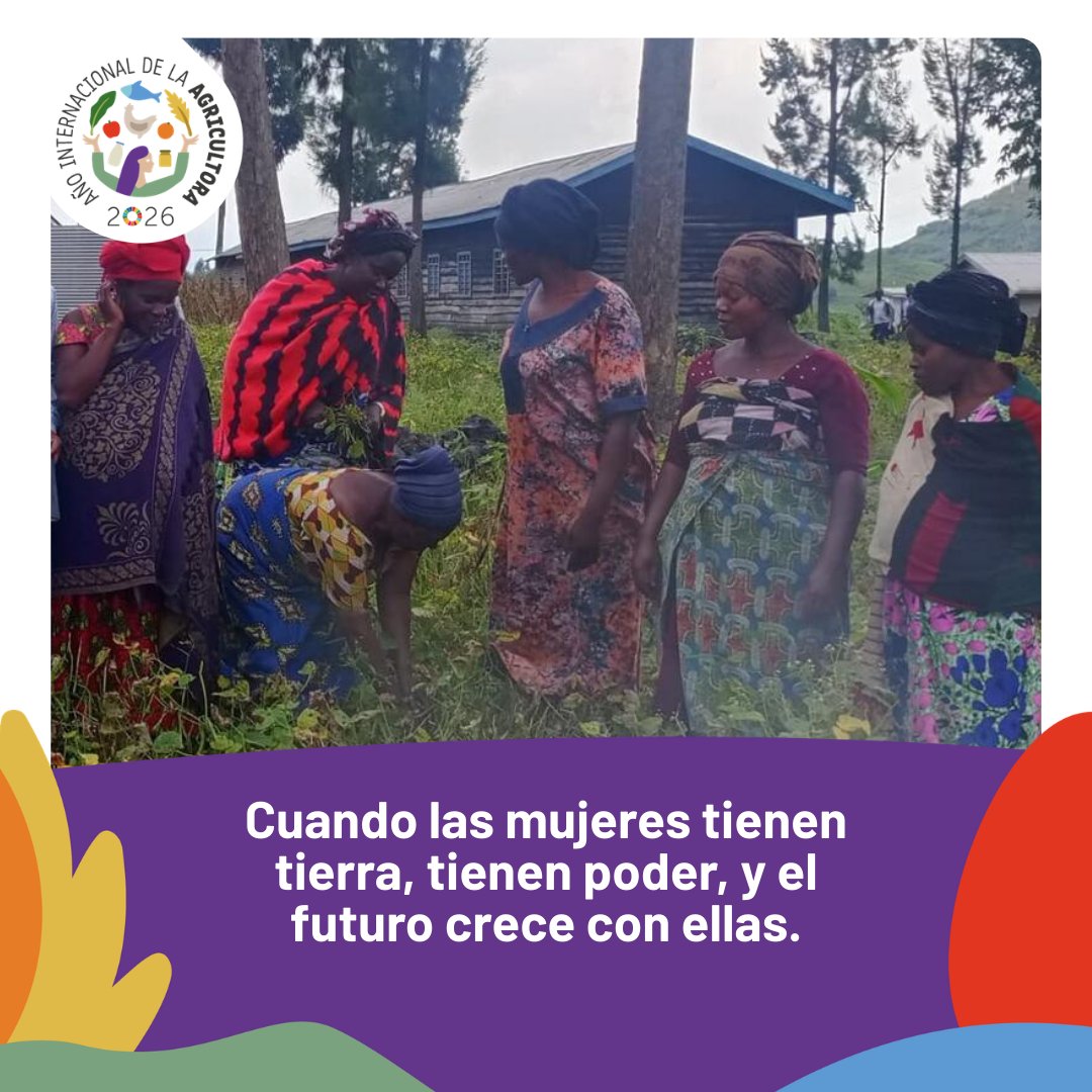 Alianza de Bioversity International y el CIAT tweet media