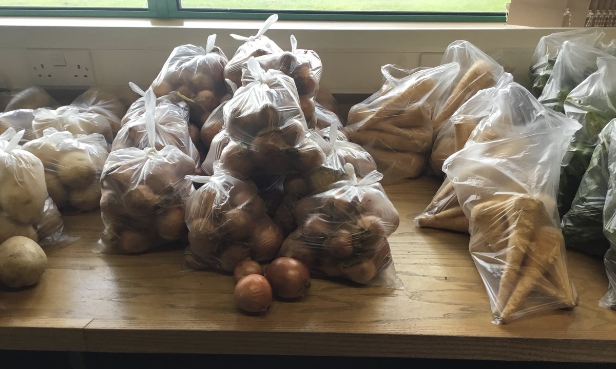 St Alphonsus Primary tweet media