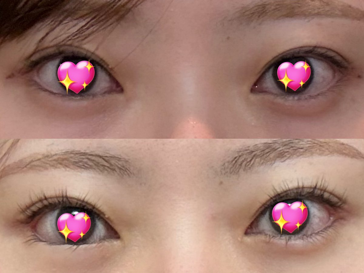 ＾• ·̭ •̥＾ tweet media