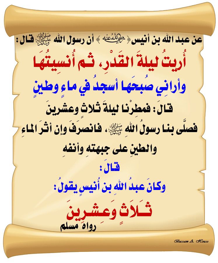 أبو ياسر......الزلفي tweet media
