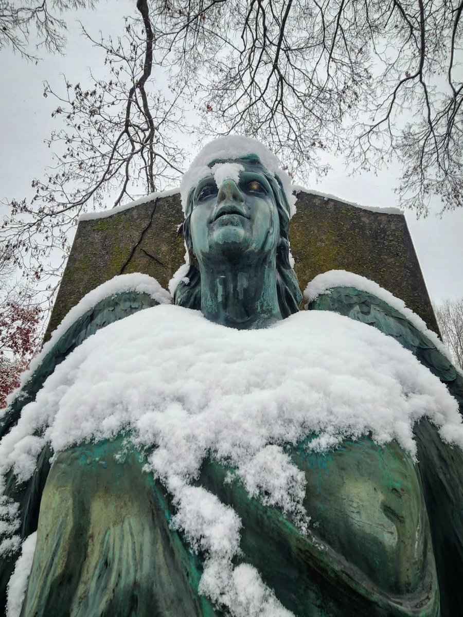 Hollywood Cemetery tweet media