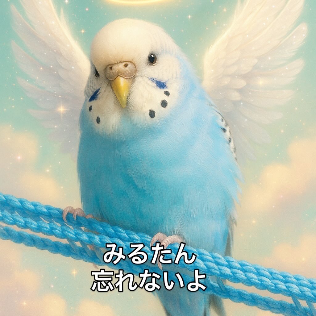 dotadotao's tweet photo. 今日で51歳になりました🎂みるたんロスト事件以来見つからないまま3ヶ月が経過し悲しい日々でしたが、お姉ちゃんインコのよもぎのために新しいインコを2羽お迎えしました🐣🐣その愛くるしい姿に心癒されております☺️決して忘れることはないですが、しっかり前も向いていかないといけないですよね🙂 https://t.co/hx69dhoeta