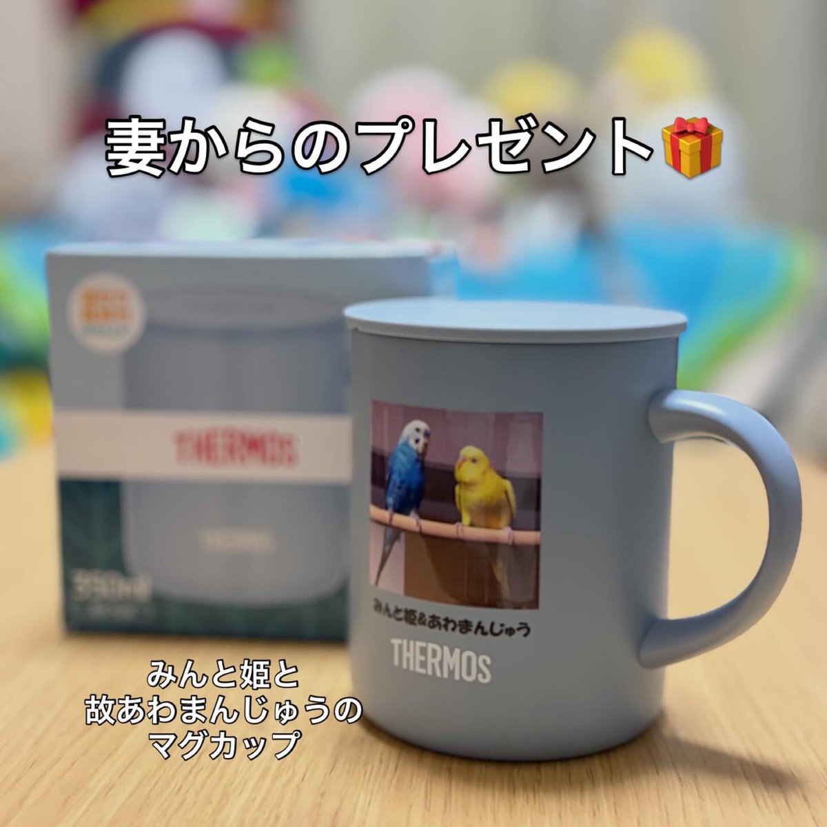 dotadotao's tweet photo. 今日で51歳になりました🎂みるたんロスト事件以来見つからないまま3ヶ月が経過し悲しい日々でしたが、お姉ちゃんインコのよもぎのために新しいインコを2羽お迎えしました🐣🐣その愛くるしい姿に心癒されております☺️決して忘れることはないですが、しっかり前も向いていかないといけないですよね🙂 https://t.co/hx69dhoeta