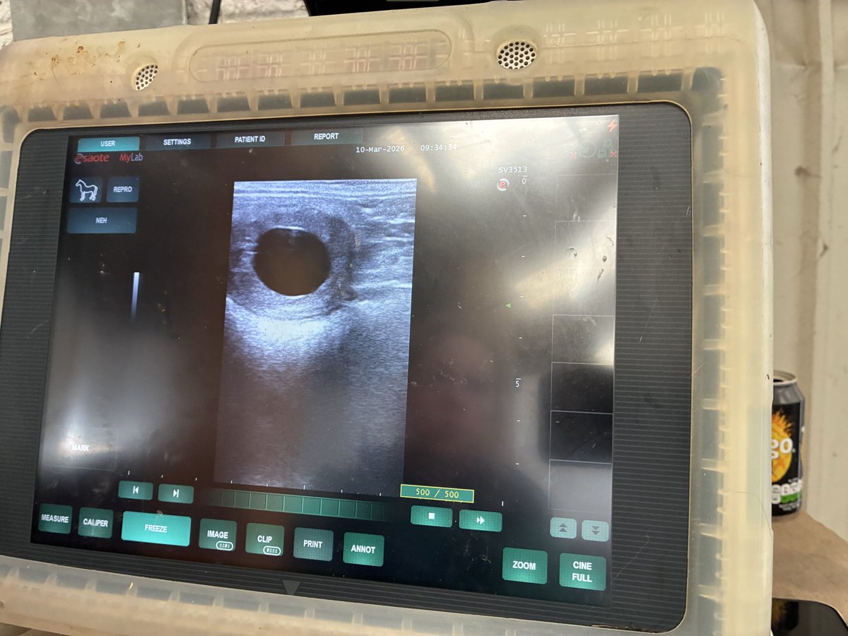 Brookside Stud tweet media