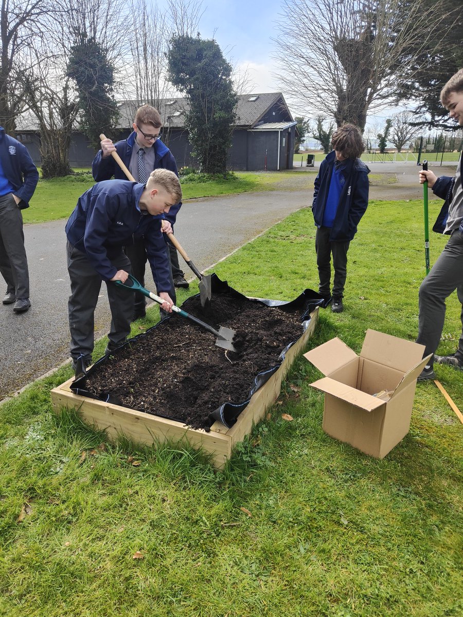 Knockbeg College Green Schools Committee🌍🐝 tweet media