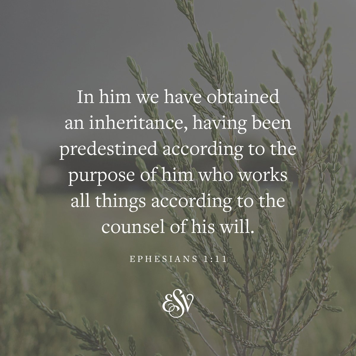 Crossway tweet media