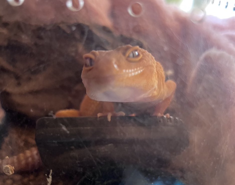 は？？？エッッロ