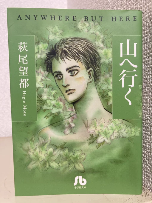 『山へ行く』が初めてちゃんと読んだ萩尾先生の本なのだけどけっこう珍しいのかもしれない。主に2000年代後半の「ここではない★どこか」のシリーズを収録されており、それぞれの話がゆるやかにつながっている。過剰さや劇的さが慎重に抑制され、市井の人々の暮らしを丁寧に見つめた傑作揃いの短編集 