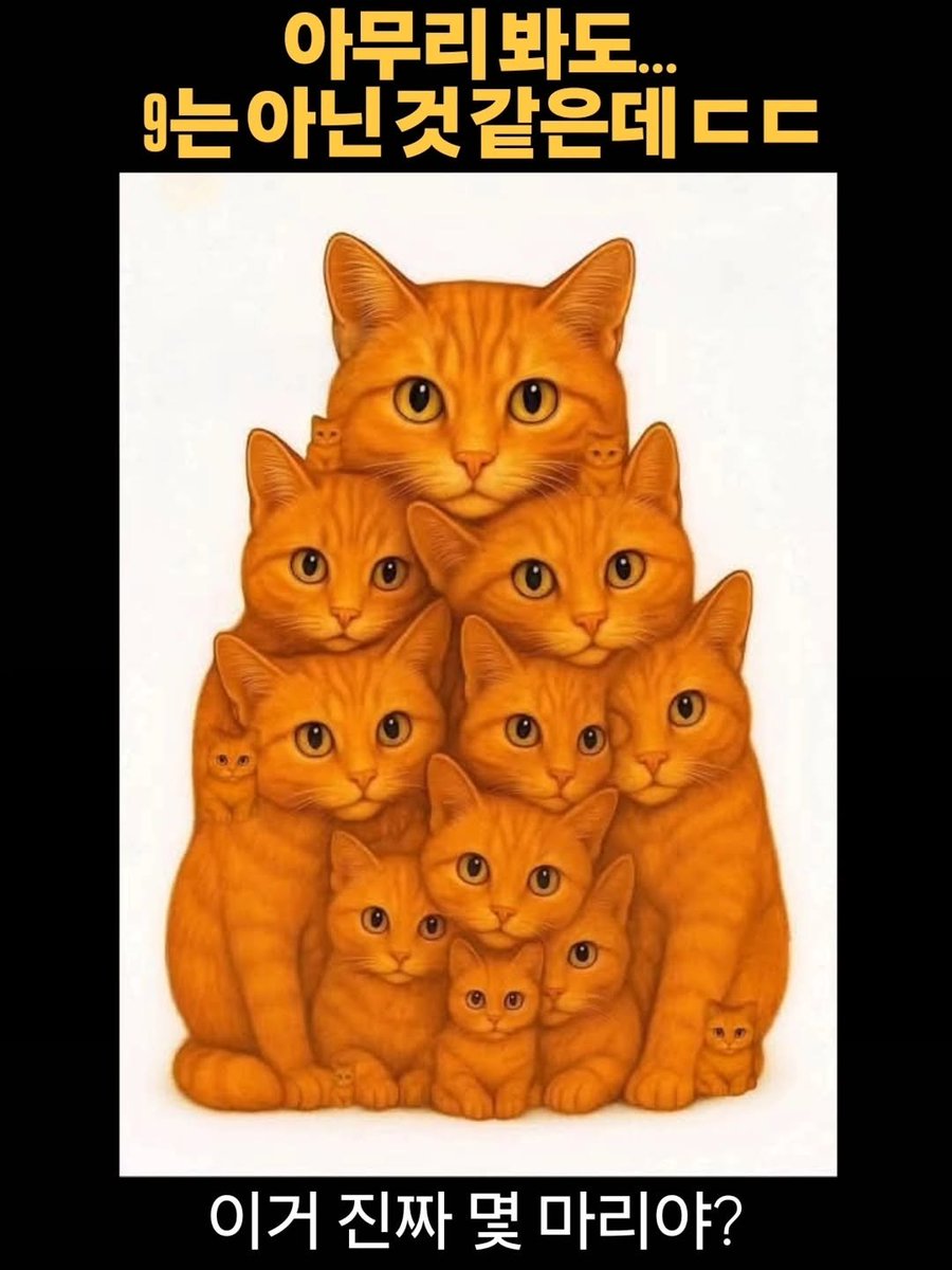 아브라카타브라 tweet media