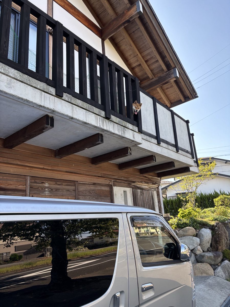 なんか上から視線を感じると思ったら…