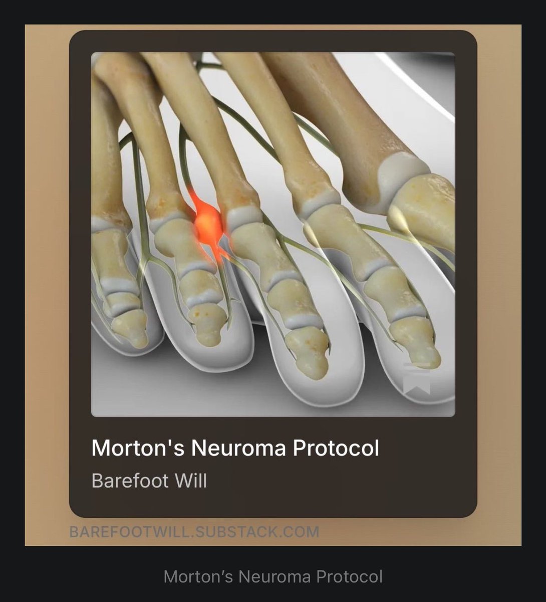 Will🦶🏼 tweet media