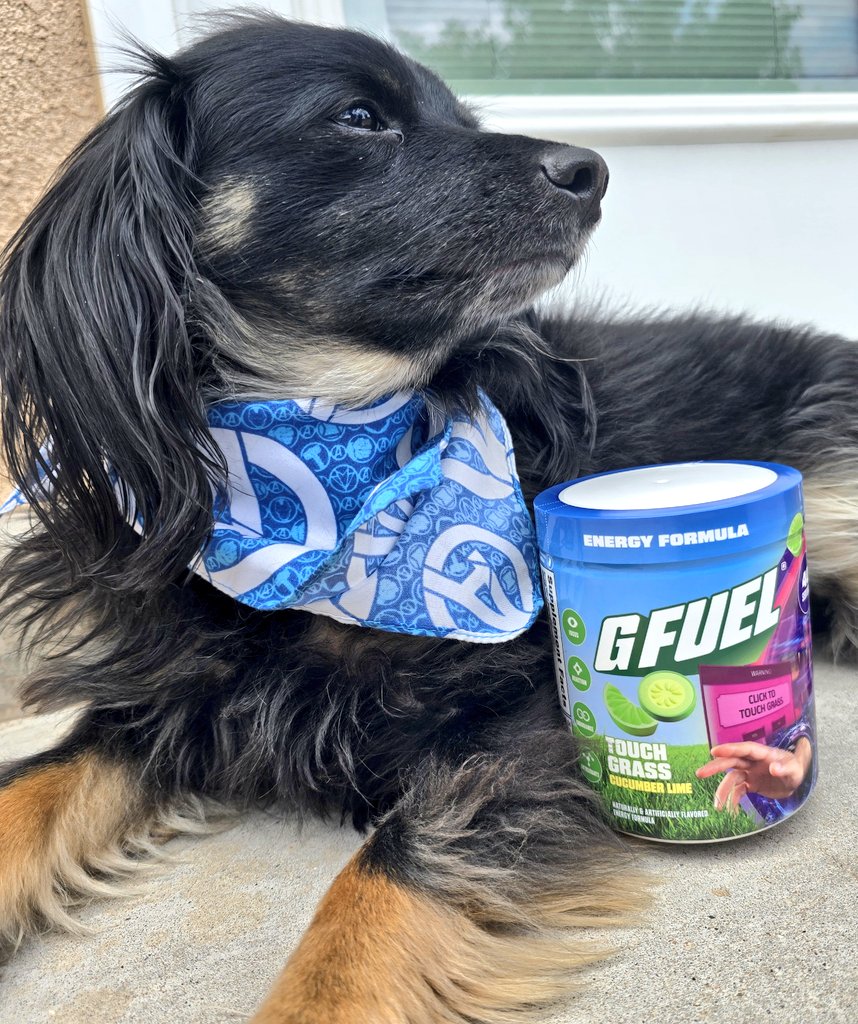 SL1K_Chaos tweet media