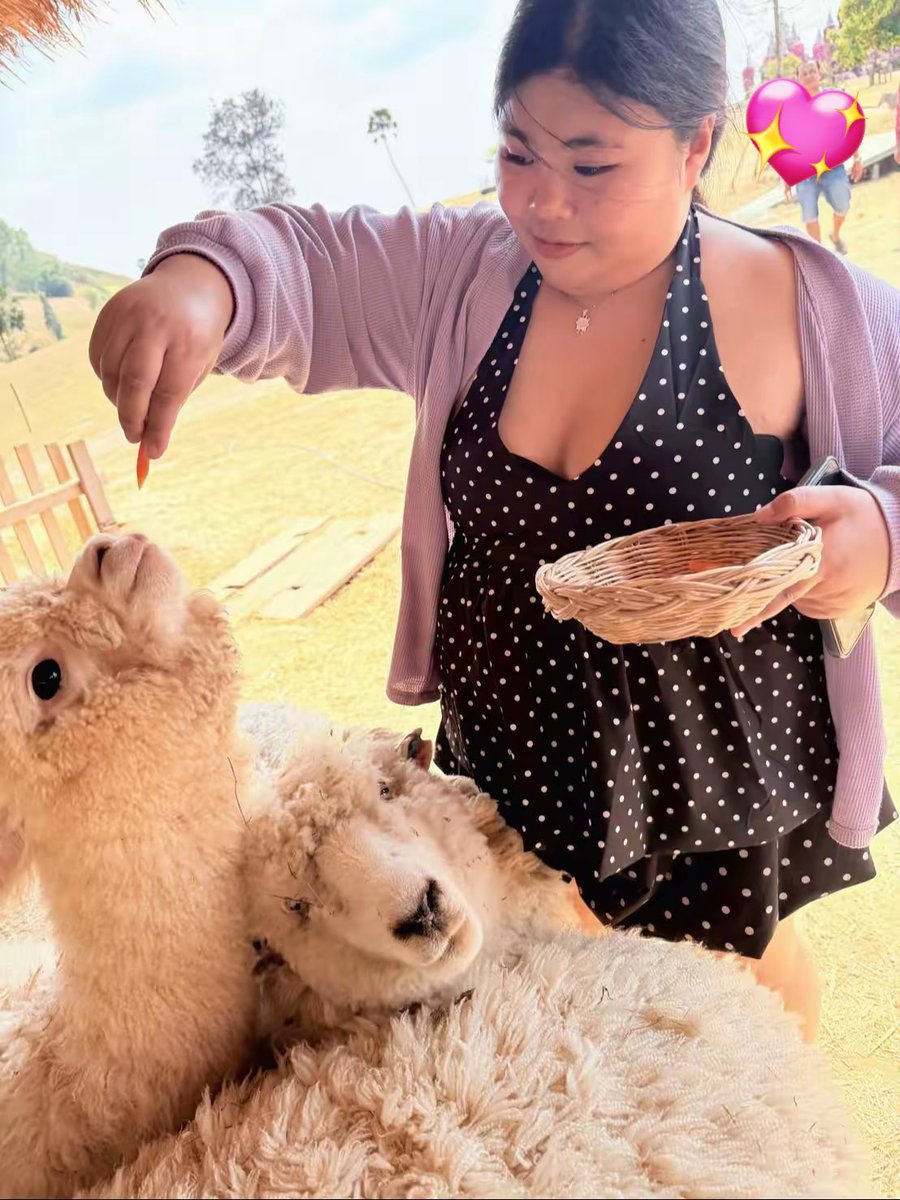 rak (@hmxrak2) on Twitter photo 