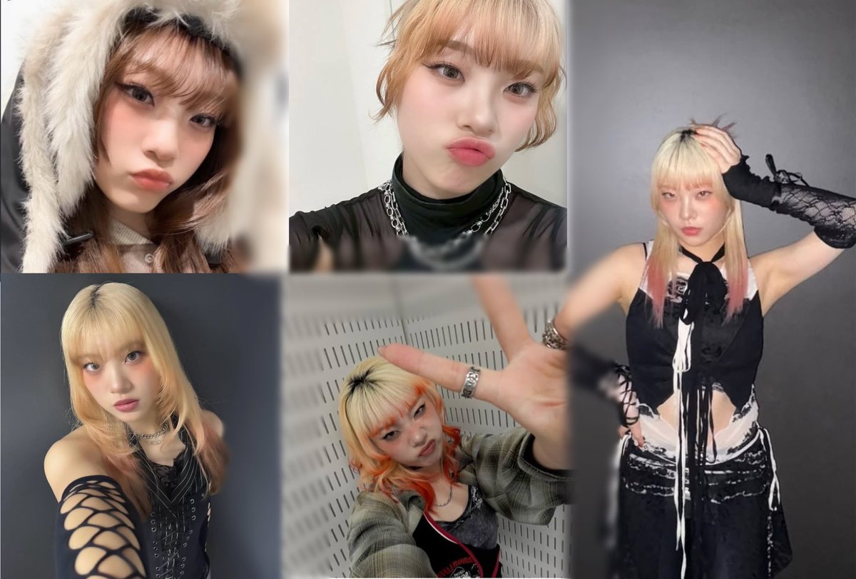 カフカ🐝 tweet media