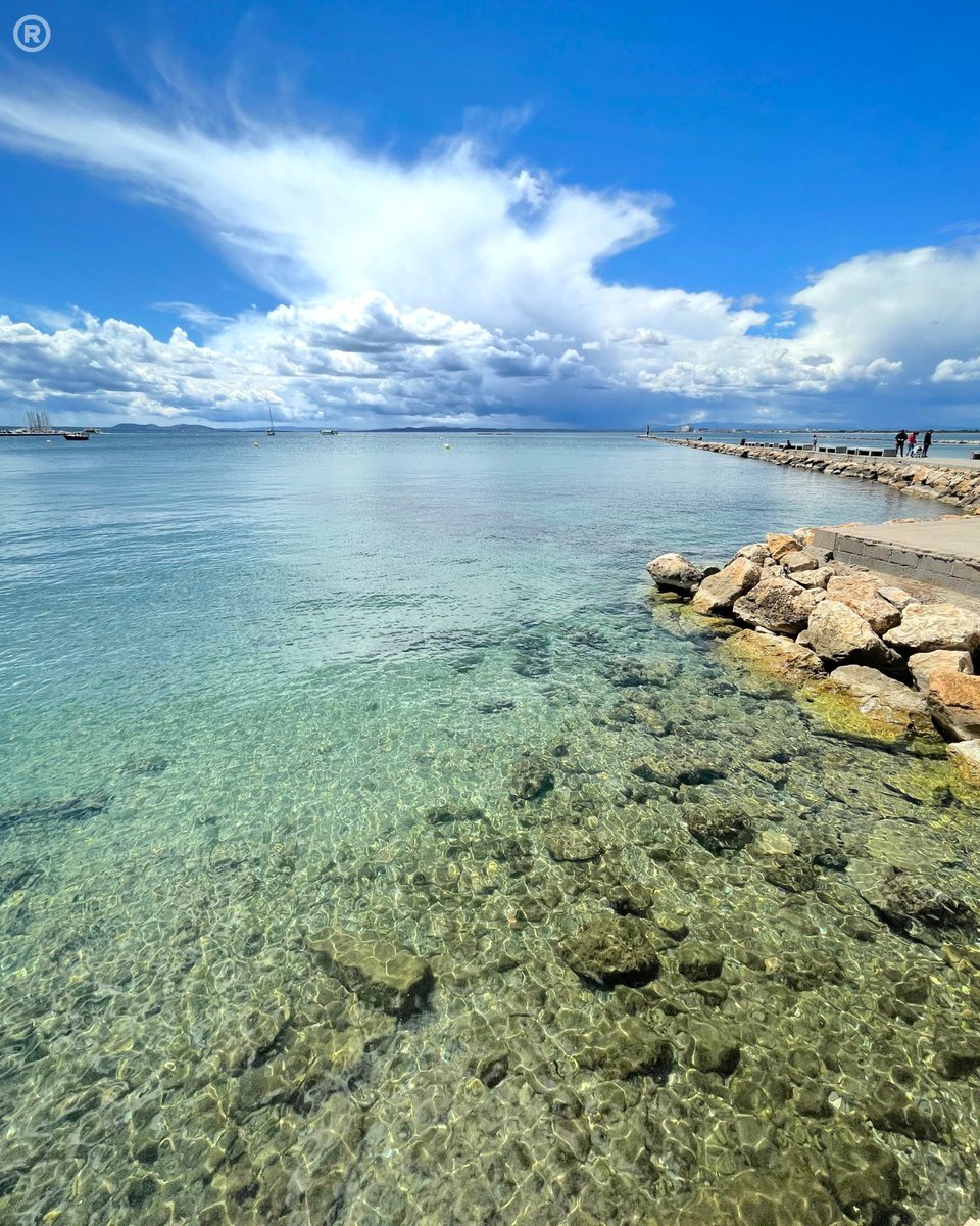 Visit Roses tweet media