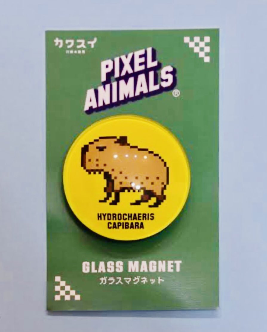 Studio Okanotion通信 tweet media