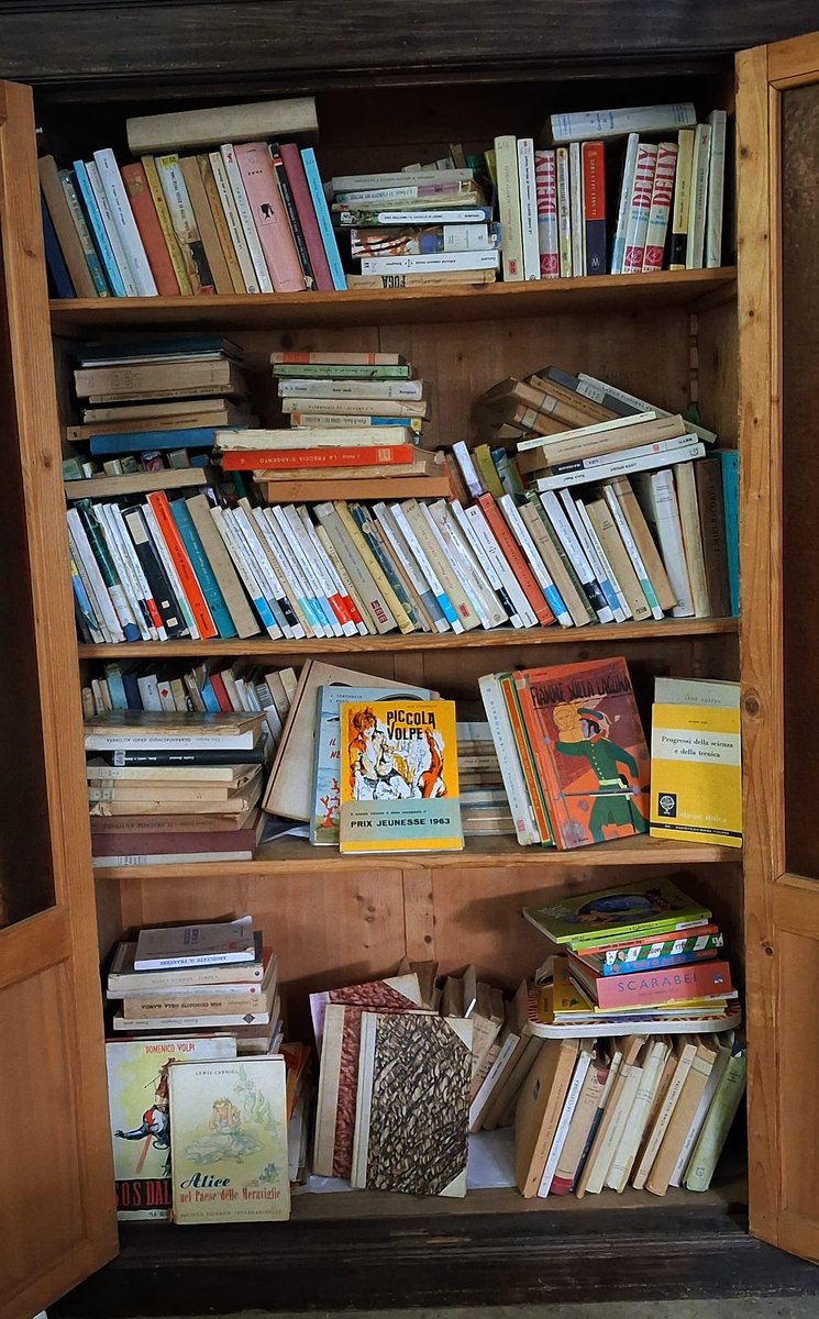 La presenza di libri di narrativa in un ospedale psichiatrico non rappresenta un caso isolato nella storia delle istituzioni manicomiali. Studi storici sulla psichiatria documentano come, accanto alle pratiche cliniche fossero presenti attività occupazionali e culturali. Rieti.