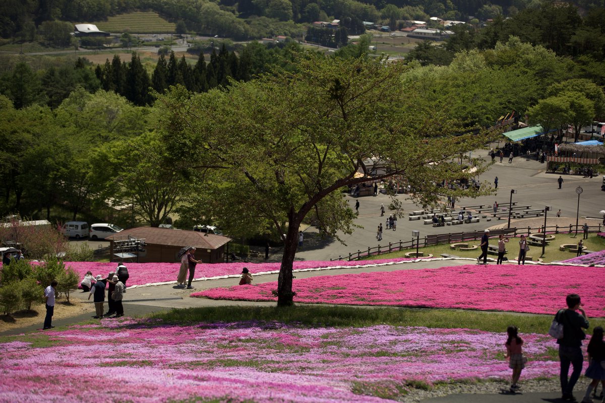 Anza1@梅原流 tweet media