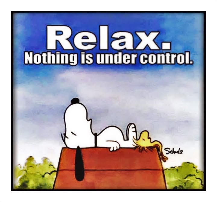 Irena Buzarewicz tweet media