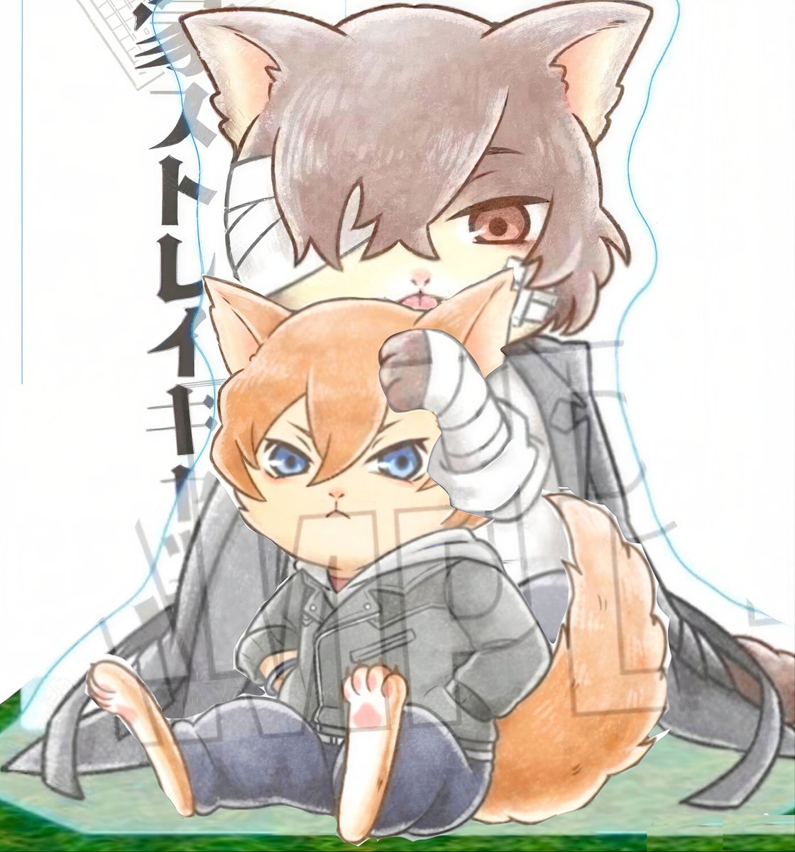 DailyDaChuu's tweet photo. 🐈‍⬛🐾 🐈📚 #DaChuu #太中 https://t.co/boxnjRXVjc