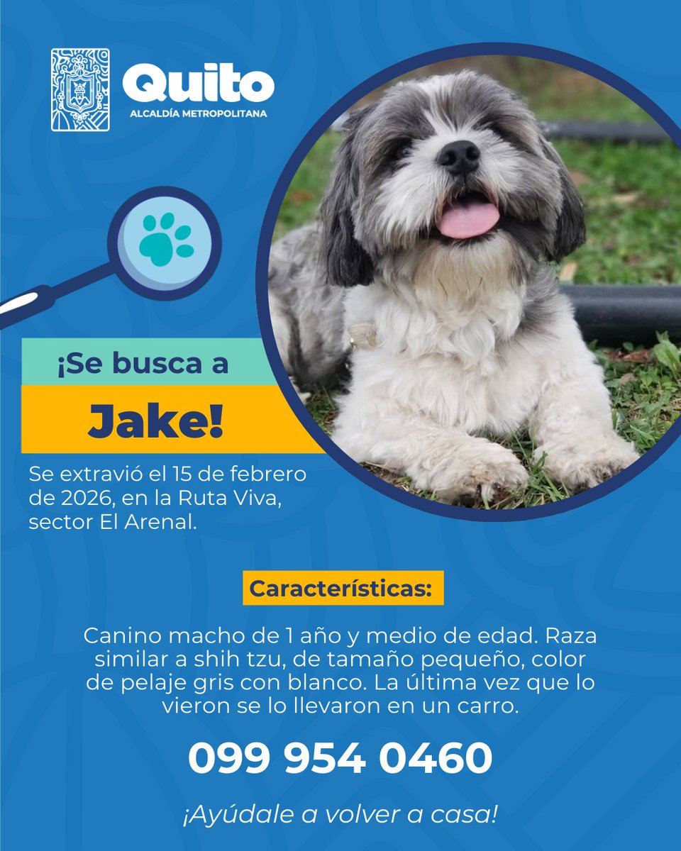 Unidad de Bienestar Animal Quito tweet media