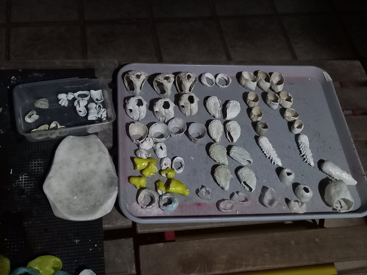 FA Customs tweet media